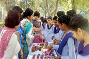 Government Girls Senior Secondary School-Art and Craft